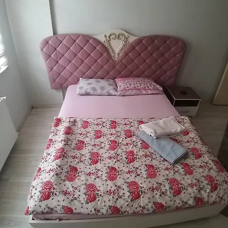 Guenluek Kiralik Emlakcim * Kütahya